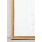 goldgilt mirror frame