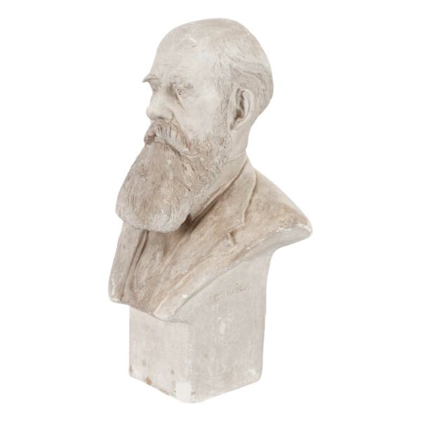 French Plaster Bust of Bearded Gentleman