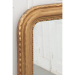 French 19th Century Gold Gilt Louis Philippe Style Mirror