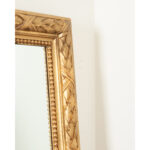 French 19th Century Carved Gold Gilt Mirror