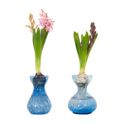 Collection of 2 Victorian Light Blue Glass Hyacinth Vases