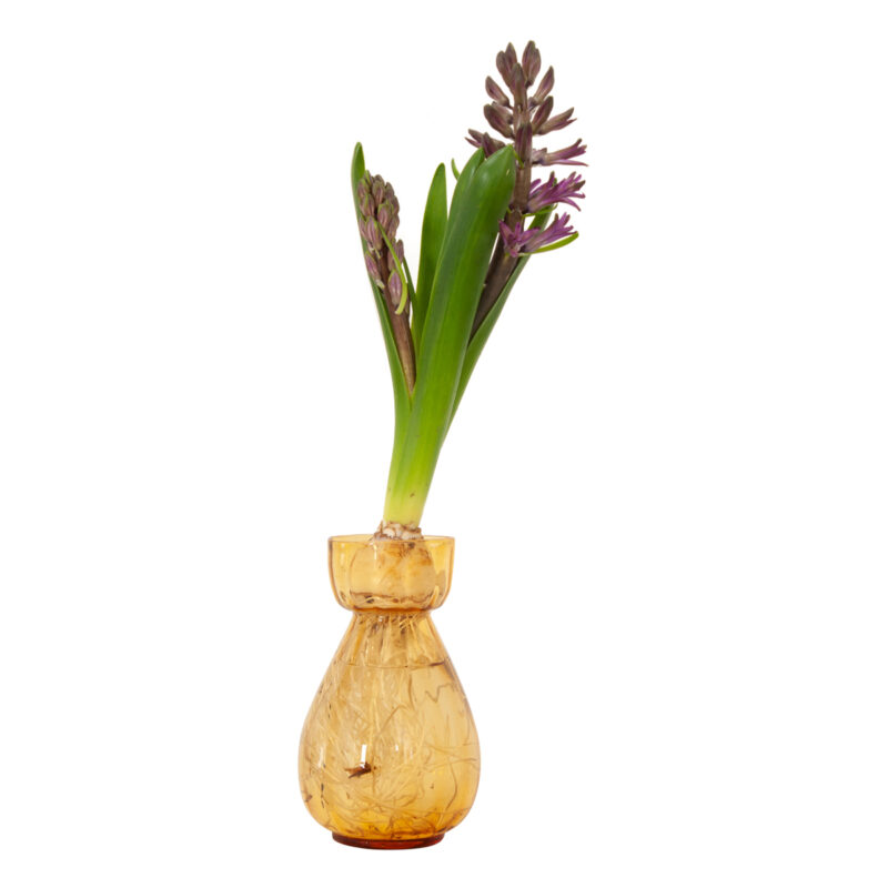 Victorian Gold Glass Hyacinth Vase