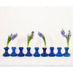 Collection of Victorian Cobalt Blue Hyacinth Vases