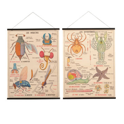 French 1940’s Schoolhouse Double Sided Poster