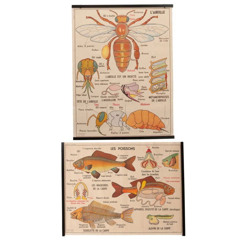 French 1940’s Schoolhouse Double Sided Poster