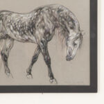 Show Horse Drawing by Leslie Charlotte Benenson