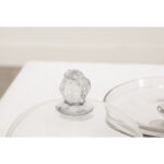 French Glass Pastry Display Dome on Pedestal