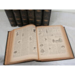 Set of 7 Antique French Encyclopedias & Dictionaries