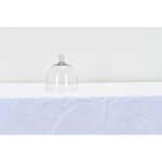 French 19th Century Glass Cheese Dome