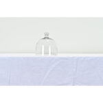 French 19th Century Glass Cheese Dome