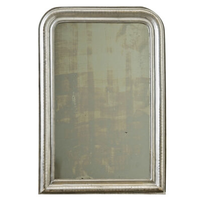 French 19th Century Louis Philippe Silver Gilt Mirror