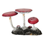 English Garden Mushrooms