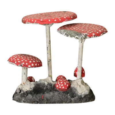 English Garden Mushrooms