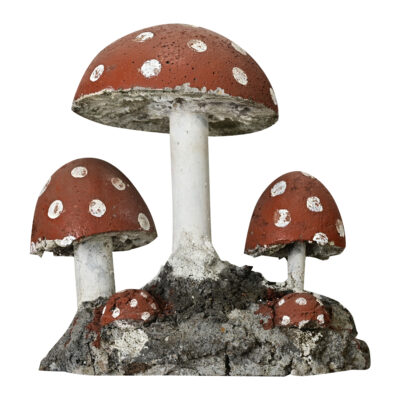 English Garden Mushrooms