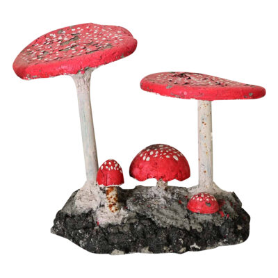 English Garden Mushrooms