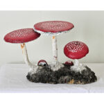 English Garden Mushrooms