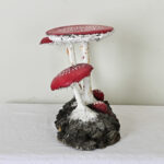 English Garden Mushrooms