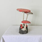 English Garden Mushrooms