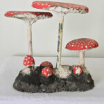 English Garden Mushrooms