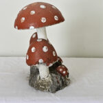 English Garden Mushrooms