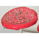 English Garden Mushrooms