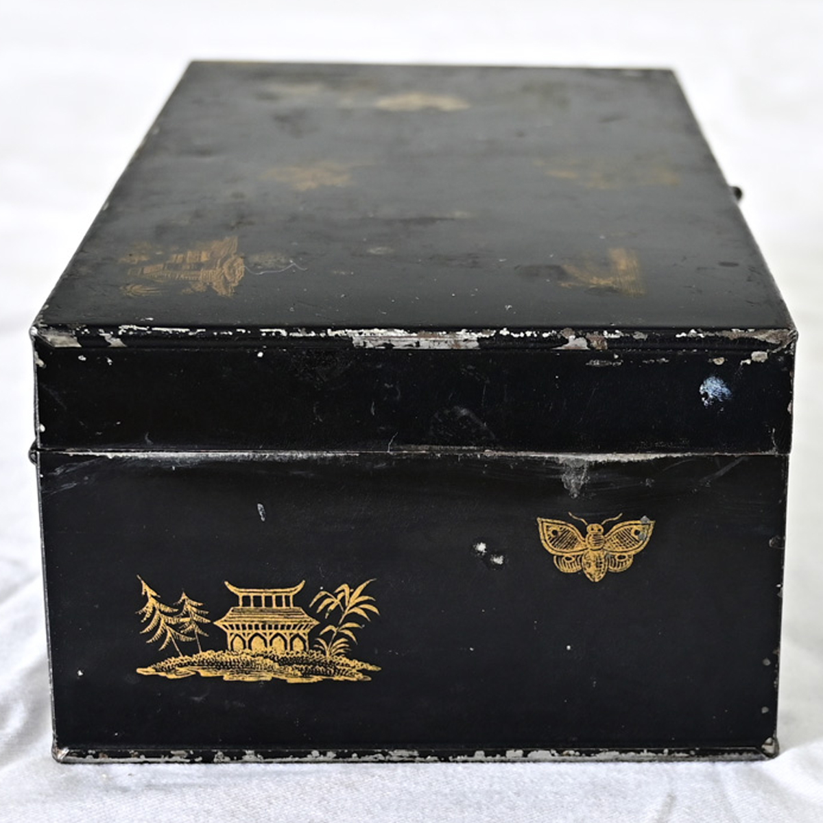 DSC 9164WEB DSC 9164WEB