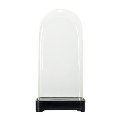 French 19th Century Glass Dome on Ebonized Stand