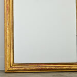 French 19th Century Gold Gilt Louis Philippe Mirror