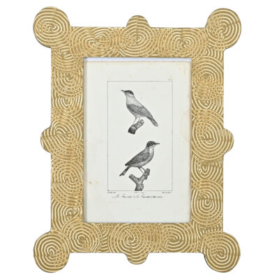Framed 19th Century French Bird Print