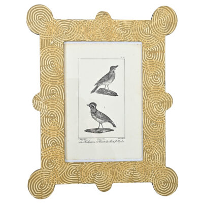 Framed 19th Century French Bird Print