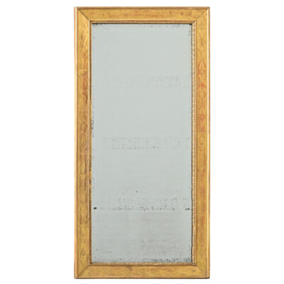 French 19th Century Gold Gilt Mirror