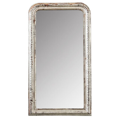 French 19th Century Louis Philippe Silver Gilt Mirror