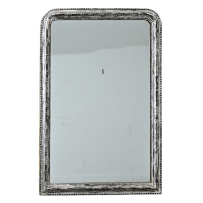 French 19th Century Louis Philippe Silver Gilt Mirror