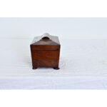 English 19th Century Rosewood and Mother of Pearl Tea Caddy
