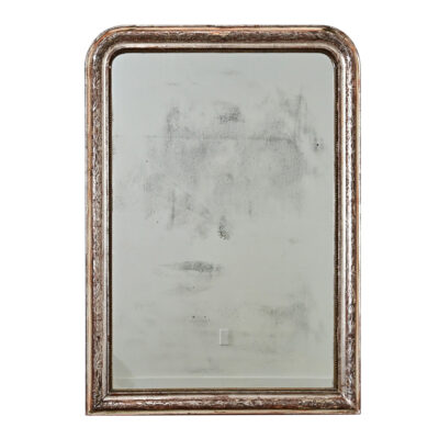 French 19th Century Louis Philippe Silver Gilt Mirror